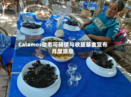 Calamos动态可转债与收益基金宣布月度派息