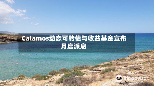 Calamos动态可转债与收益基金宣布月度派息-第3张图片