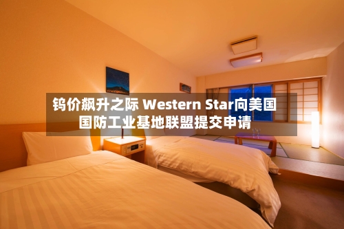 钨价飙升之际 Western Star向美国国防工业基地联盟提交申请-第3张图片