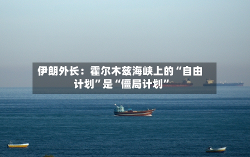 伊朗外长：霍尔木兹海峡上的“自由计划	”是“僵局计划”-第2张图片