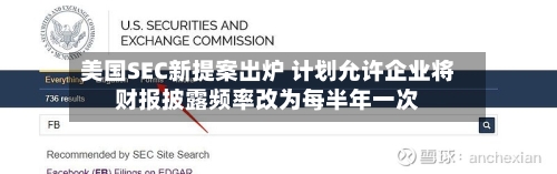 美国SEC新提案出炉 计划允许企业将财报披露频率改为每半年一次-第2张图片