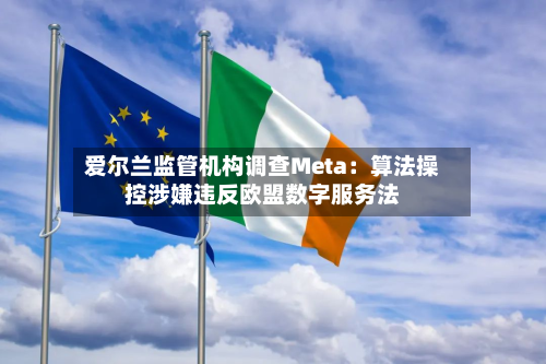 爱尔兰监管机构调查Meta：算法操控涉嫌违反欧盟数字服务法-第2张图片