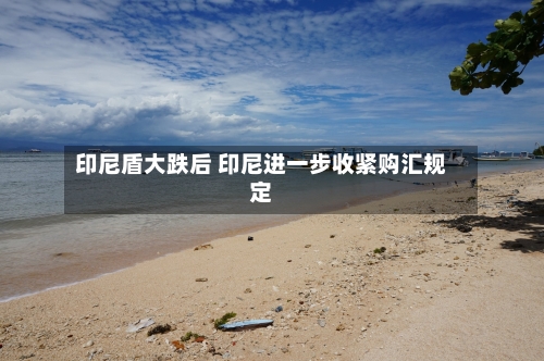 印尼盾大跌后 印尼进一步收紧购汇规定