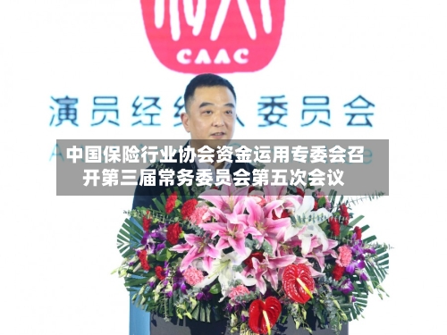 中国保险行业协会资金运用专委会召开第三届常务委员会第五次会议