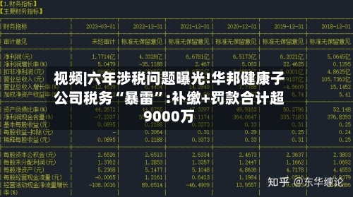 视频|六年涉税问题曝光!华邦健康子公司税务“暴雷”:补缴+罚款合计超9000万-第2张图片