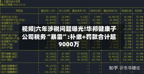 视频|六年涉税问题曝光!华邦健康子公司税务“暴雷”:补缴+罚款合计超9000万