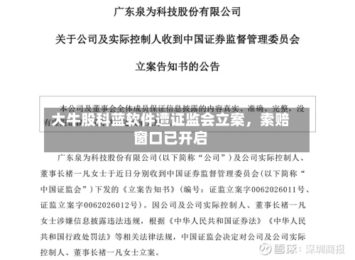 大牛股科蓝软件遭证监会立案，索赔窗口已开启-第2张图片