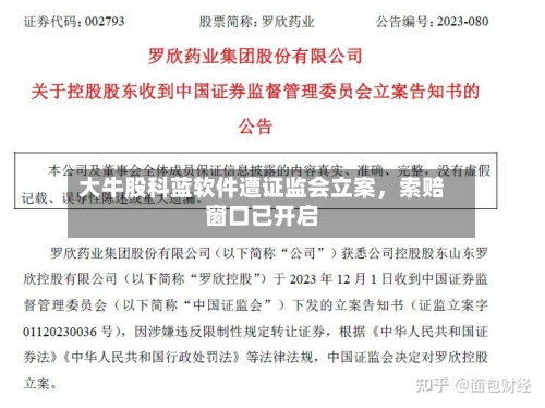 大牛股科蓝软件遭证监会立案，索赔窗口已开启
