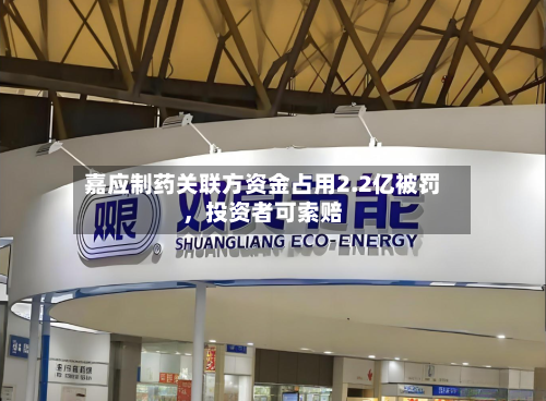 嘉应制药关联方资金占用2.2亿被罚，投资者可索赔-第3张图片