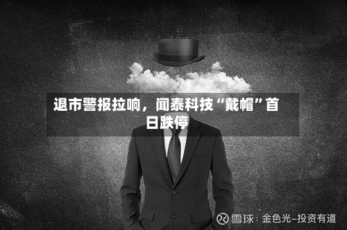 退市警报拉响，闻泰科技“戴帽”首日跌停-第2张图片