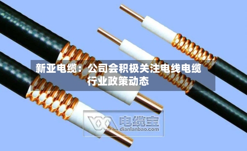 新亚电缆：公司会积极关注电线电缆行业政策动态-第2张图片