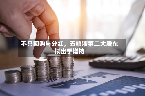 不只回购与分红，五粮液第二大股东拟出手增持