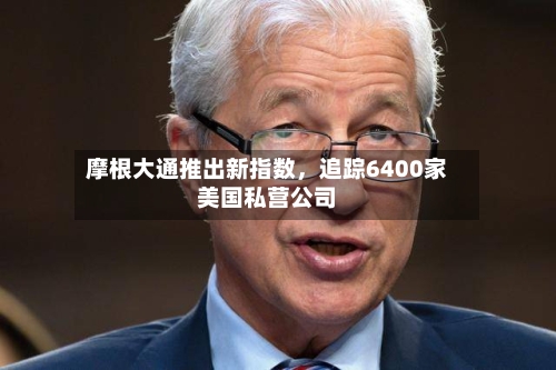 摩根大通推出新指数，追踪6400家美国私营公司-第3张图片