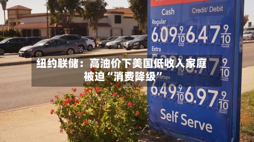 纽约联储：高油价下美国低收入家庭被迫“消费降级”