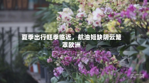 夏季出行旺季临近，航油短缺阴云笼罩欧洲-第2张图片
