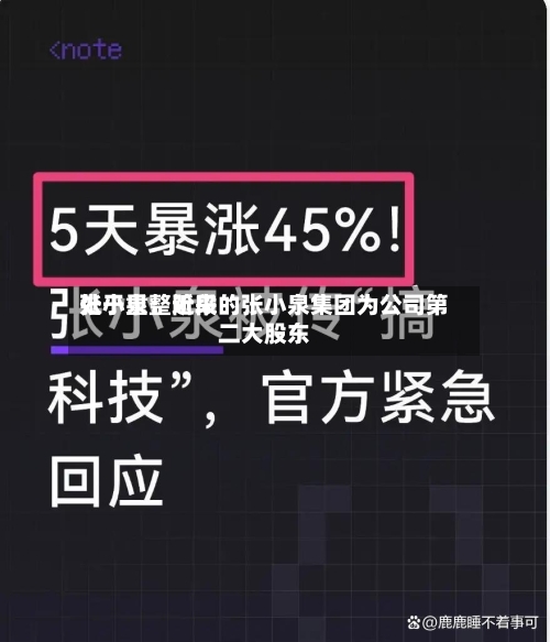 张小泉：近来处于重整阶段的张小泉集团为公司第二大股东