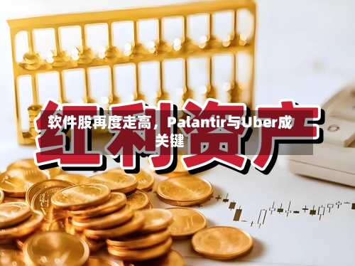 软件股再度走高，Palantir与Uber成关键-第2张图片