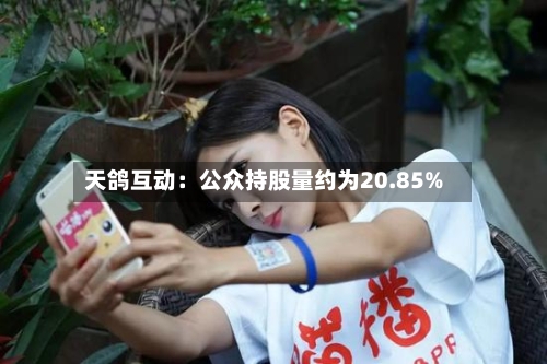 天鸽互动：公众持股量约为20.85%-第2张图片