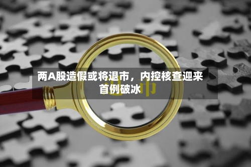 两A股造假或将退市，内控核查迎来首例破冰-第2张图片