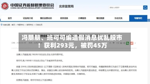 冯朋朋、班可可编造假消息扰乱股市！获利293元，被罚45万-第2张图片