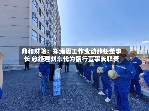 鼎和财险：郑添因工作变动辞任董事长 总经理刘东代为履行董事长职责-第3张图片
