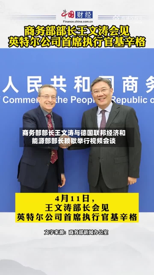 商务部部长王文涛与德国联邦经济和能源部部长赖歇举行视频会谈