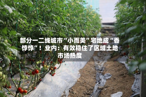 部分一二线城市“小而美”宅地成“香饽饽”！业内：有效稳住了区域土地市场热度-第3张图片