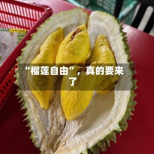 “榴莲自由”	，真的要来了-第2张图片