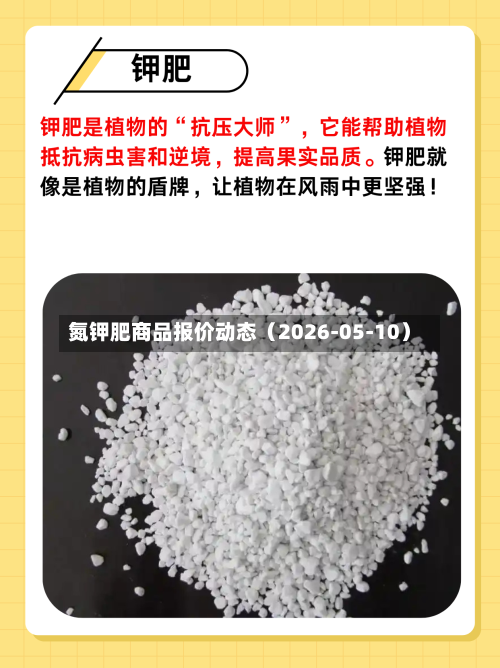 氮钾肥商品报价动态（2026-05-10）-第2张图片