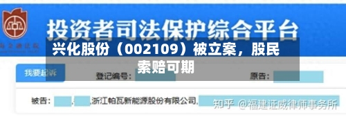 兴化股份（002109）被立案，股民索赔可期-第2张图片