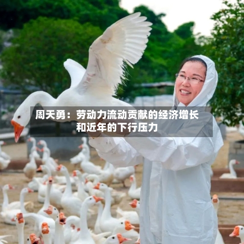 周天勇：劳动力流动贡献的经济增长和近年的下行压力