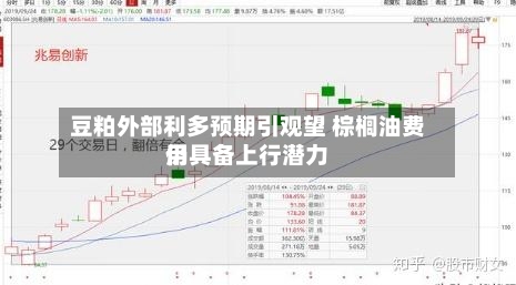 豆粕外部利多预期引观望 棕榈油费用仍具备上行潜力
