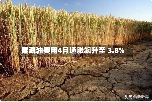 受汽油费用推动，美国4月通胀飙升至 3.8%