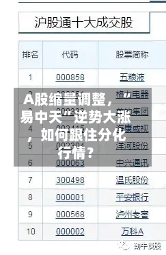 A股缩量调整，“易中天”逆势大涨，如何跟住分化行情？