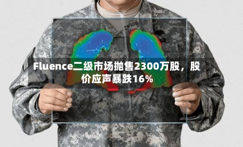 Fluence二级市场抛售2300万股，股价应声暴跌16%