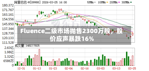 Fluence二级市场抛售2300万股	，股价应声暴跌16%-第2张图片